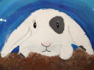 Snowy The Fluffy Bunny - Faatimah Ahned
