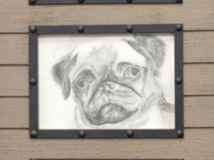 Pugzy - Caroline Franques
